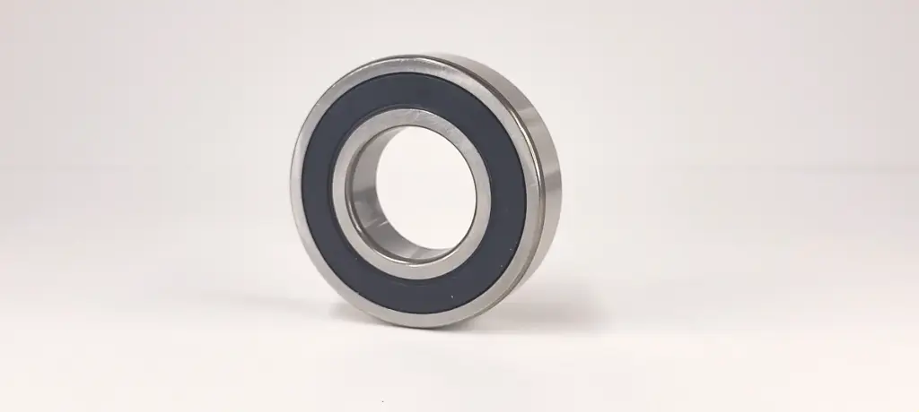 6004 2RS 