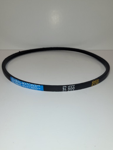 3L300  