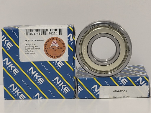 6204 2Z C3 NKE